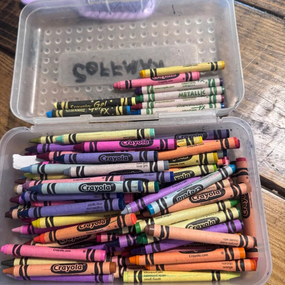 Crayola Crayons Lot of Mixed Colors Tickeled Pink Dandelion and plastic case
